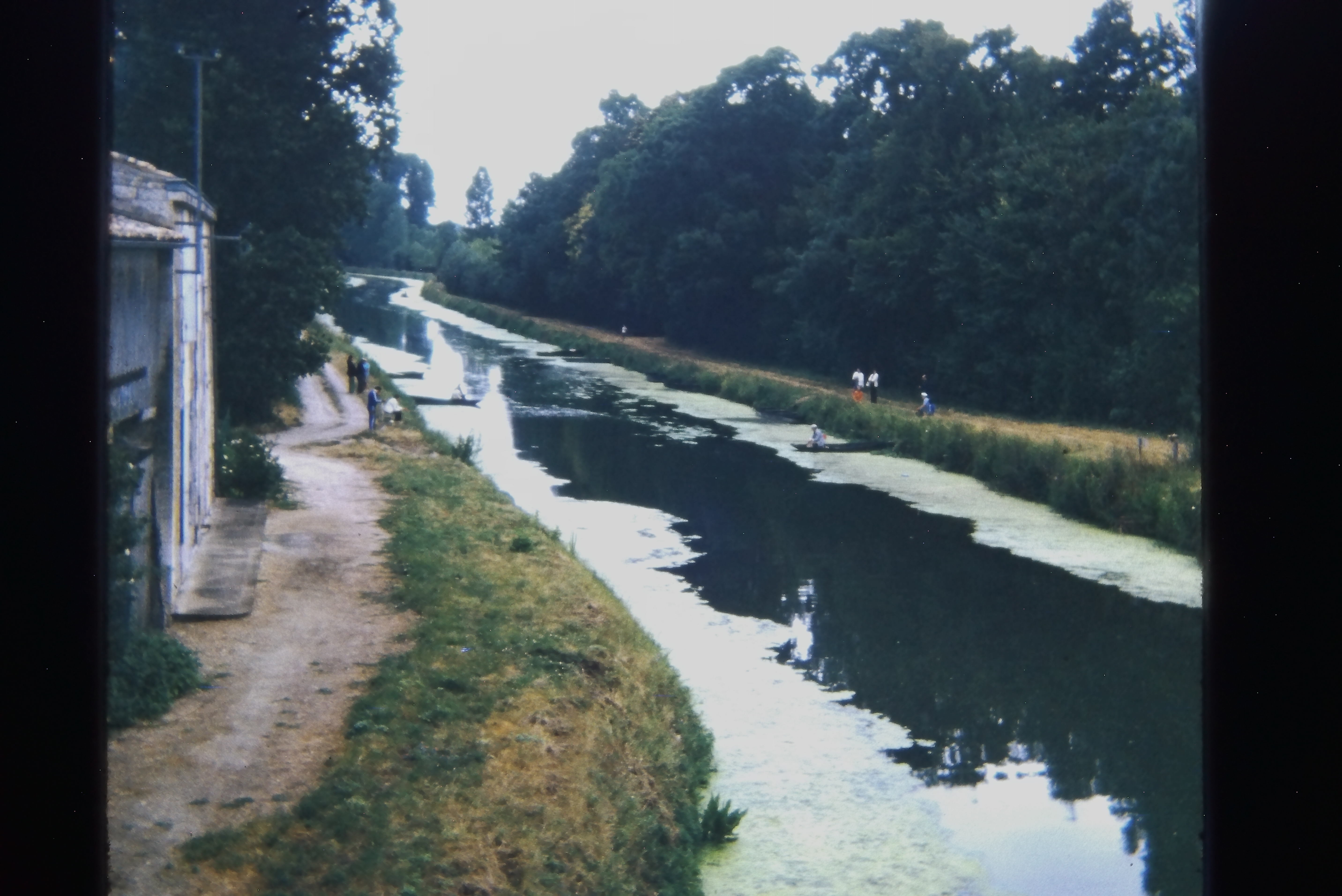 IMAG0015
